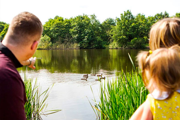 Family feeding ducks